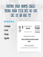 Phương pháp monte carlo trong phân tích rủi ro cho dự án đầu tư