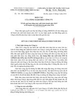 Bao cao ket qua hoat dong SXKD 2015 va Ke hoach SXKD 2016 cua TGD