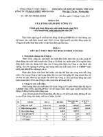 5.bao cao cua TGD ve ket qua hoat dong SXKD nam 2016 va ke hoach nam 2017