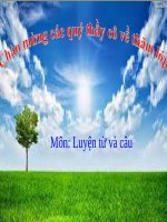 Tuần 9. MRVT: Ước mơ