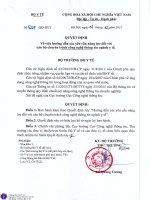 Quy định về hướng dẫn các yêu cầu năng lực đối với cán bộ chuyên trách công nghệ thông tin ngành y tế