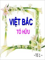 Tuần 8. Việt Bắc