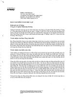 7.bao cao ket qua kiem toan nam 2016 BCTC 2016 va ke hoach tai chinh 2017