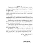 Quản lý chất lượng thi công kè bảo vệ bờ sông áp dụng vào nghiên cứu kè sông bôi – thị trấn chi nê – huyện lạc thủy 