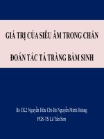 17. Gia tri sieu am trong chan doan tac ta trang   BS Chi   BVND1