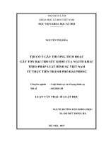 Tôi xin cam đoan rằng số liệu và kết quả nghiên cứu trong luận văn “Tội cố ý gây thương tích hoặc gây tổn hại cho sức khỏe của người khác theo pháp luật hình sự Việt Nam từ thực tiễn thành phố Hải Phòng