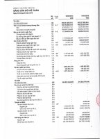 Báo cáo tài chính quý 3 năm 2016 THẾ KỶ 21 (PDF)