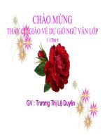 Tuần 11. Luyện tập vận dụng kết hợp các thao tác lập luận phân tích và so sánh