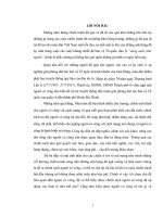 An sinh xã hội và công tác xã hội cá nhân đối với Bệnh binh tại thành phố Buôn Ma Thuột, tỉnh Đắk Lắk