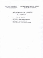 Báo cáo tài chính Quý III năm 2012