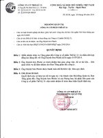 quyet dinh mien nhiem va bo nhiem chuc vu tong giam doc