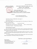 BCTC BAN NIEN SOAT XET NAM 2017 signature