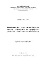 Phân lập và thiết kế vector biểu hiện gen ZmNFYB2 và ZmNAC1 nhằm đáp ứng khả năng chống chịu với điều kiện hạn hán ở cây ngô (LV thạc sĩ)