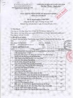 thay doi nguoi dai dien theo phap luat cua cong ty co phan the ky 21