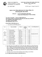 bao cao tinh hinh quan tri cong ty 6 thang dau nam 2013