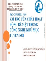 BÁO CÁO TIỂU LUẬN: VAI TRÒ CỦA CHẤT HOẠT ĐỘNG BỀ MẶT TRONG CÔNG NGHỆ KHỬ MỰC TUYỂN NỔI