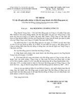 To trinh bau bo sung thanh vien HDQT