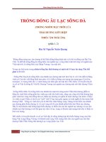 Trống Đồng Âu Lạc Sông Đà phần 1, 2, 3, 4 & 5