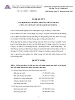 Nghi quyet DHCD thuong nien 2013 (lân 2)doc