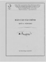 Báo cáo tài chính Quý IV năm 2013