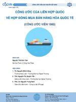 CÔNG ƯỚC CỦA LIÊN HỢP QUỐC VỀ HỢP ĐỒNG MUA BÁN HÀNG HÓA QUỐC TẾ