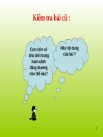 Tuần 12. Mùa thảo quả