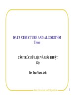 Bài giảng cấu trúc dữ liệu và giải thuật cây   TS  đào nam anh 