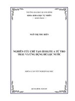 Nghiên cứu chế tạo zeolite a từ tro trấu và ứng dụng để lọc nước 