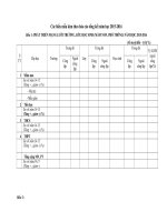 Bieu mau tong ket nam hoc 2015-2016