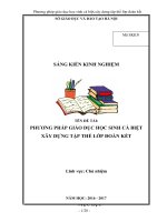 SKKN PHƯƠNG PHÁP GIÁO DỤC HỌC SINH CÁ BIỆT XÂY DỰNG TẬP THỂ LỚP ĐOÀN KẾT