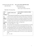 bản tường trình số 8 các KIM LOẠI KIỀM