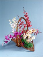 Ngữ văn 9 Bài 9: Tổng kết từ vựng (Tiết 4 SGK trang 158)