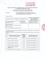 bao cao ve so huu cua nhom nha dau tu nuoc ngoai