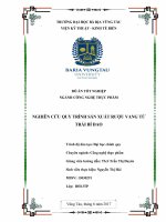 Nghiên cứu quy trình sản xuất rượu vang từ trái bí đao 