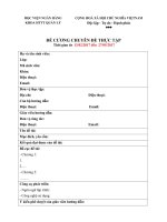 4. Phuluc2-DeCuongChuyende