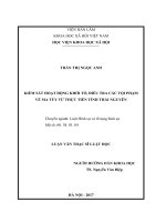 Kiểm sát hoạt động khởi tố, điều tra các tội phạm về ma túy từ thực tiễn tỉnh Thái Nguyên (LV thạc sĩ)