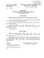 19. Mau 19-KTTT QD bai bo QD kiem tra thue (sua)