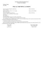 20. Phụ lục hợp đồng lao động