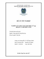 Nghiên cứu khả năng hấp phụ fe3+(aq) bởi bã cà phê biến tính 