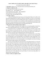 TTT - Nguyen Thi Thu Huyen