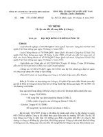 10-To trinh sua doi, bo sung Dieu le Cong ty