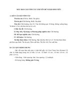 10. Mau bao cao tom tat Chuyen de NCKH sinh vien (1)