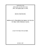 Phòng ngừa tình hình tội trộm cắp tài sản từ thực tiễn tỉnh Bắc Giang (LV thạc sĩ)