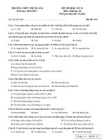 Đề và đáp án học kì 2 lớp 10: GDCD-SINH-ANH | THPT Trung Giã Sinh 10-112