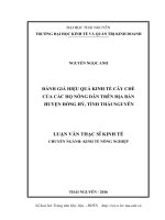 Đánh giá hiệu quả kinh tế cây chè của các hộ nông dân trên địa bàn huyện Đồng Hỷ, tỉnh Thái Nguyên (LV thạc sĩ)
