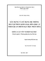 Xây dựng và sử dụng hệ thống bài tập phần kim loại, hóa học 12 theo quan điểm dạy học phân hóa (2017) 