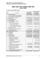 08. bao cao tai chinh tom tat dhdcd 2010