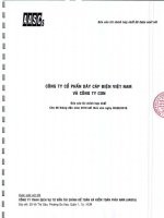 bctc ban nien soat xet nam 2016   hop nhat