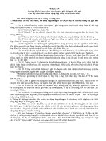 P. Lcao doi ngu hang nam_ khoi phong