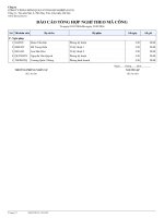 8. Báo cáo tổng hợp nghỉ theo mã công